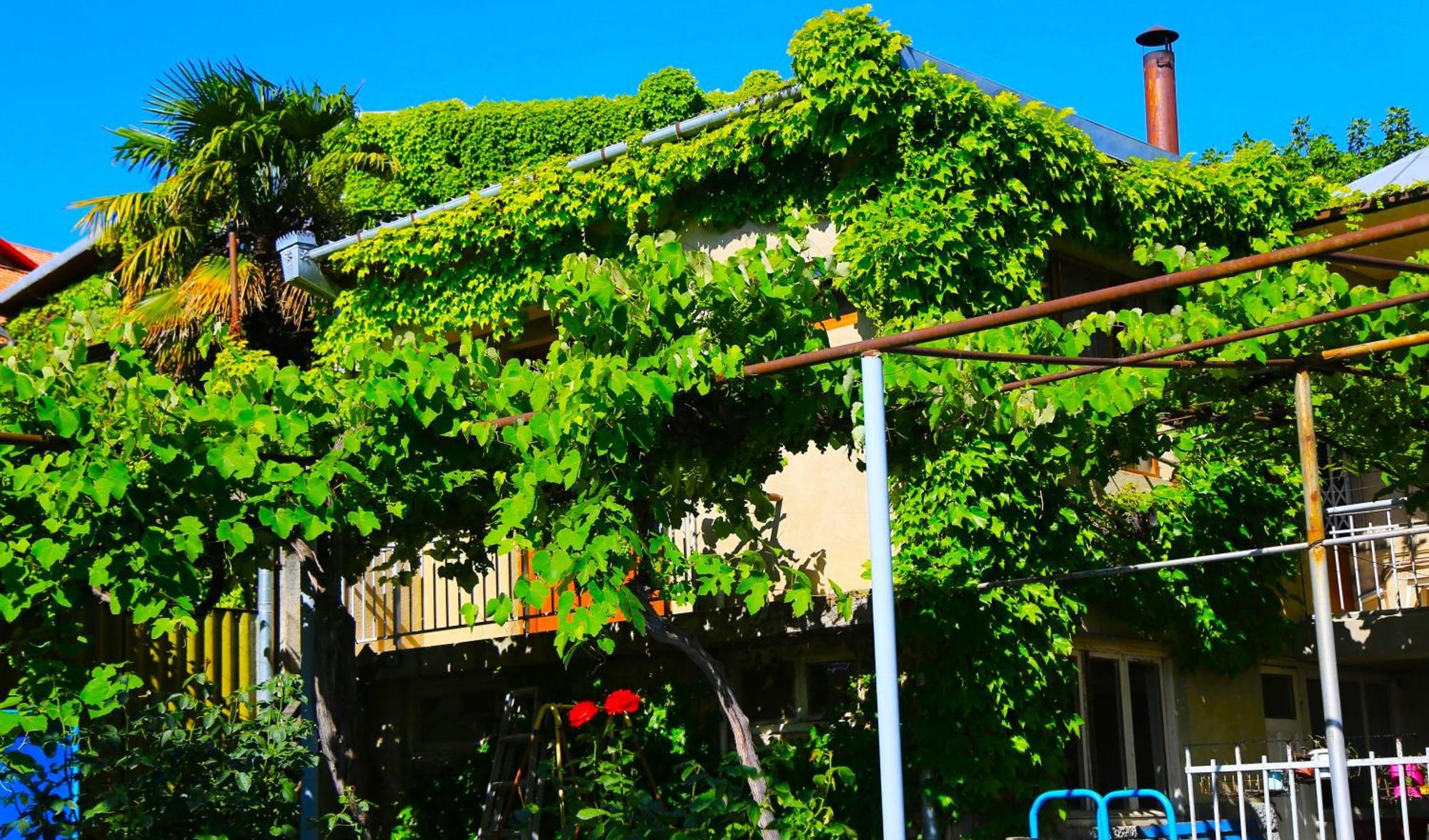 Guest House Green Veranda Мцхета Екстер'єр фото